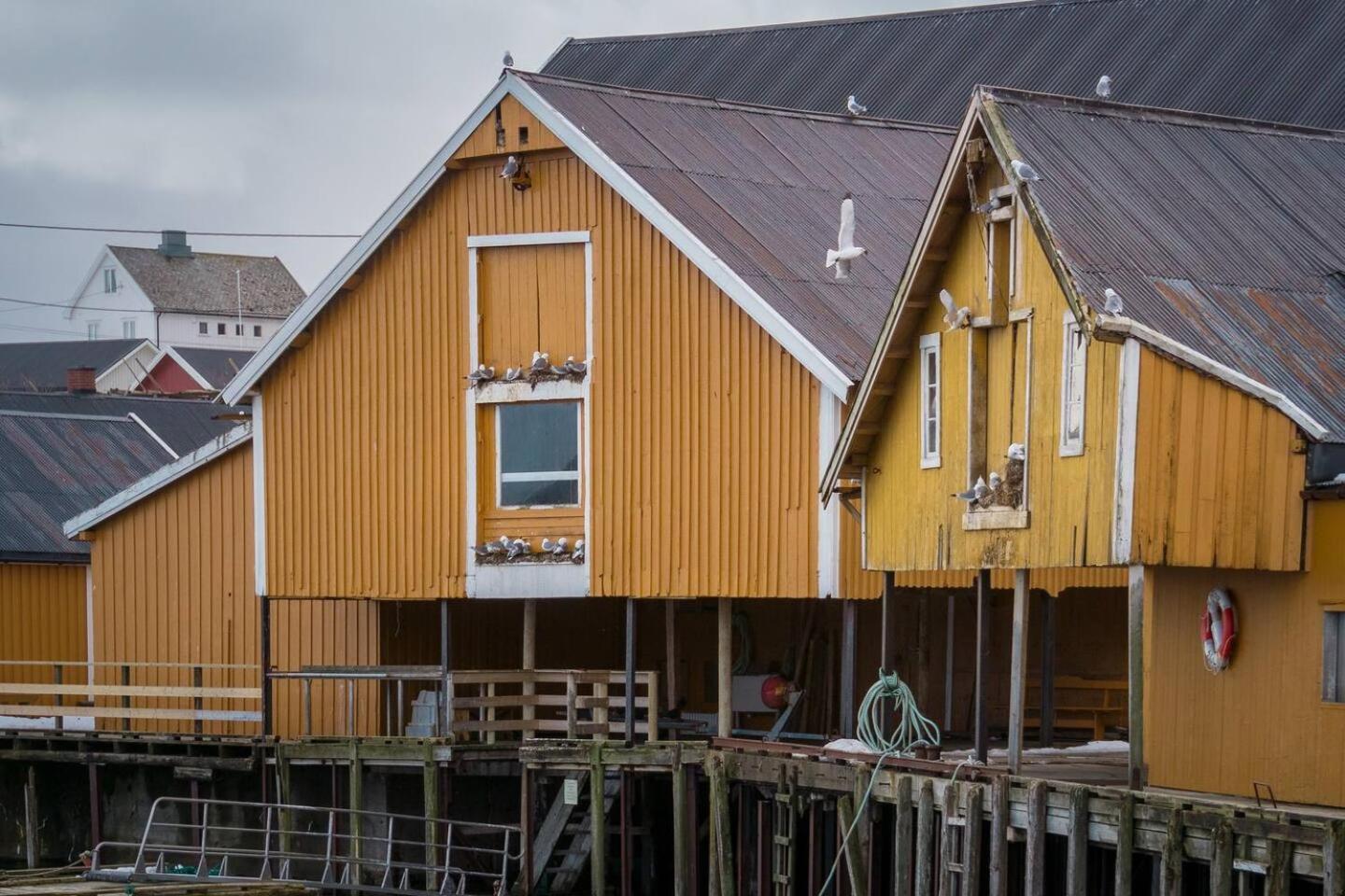 Explorers Cabin Lofoten Edge Sørvågen Esterno foto