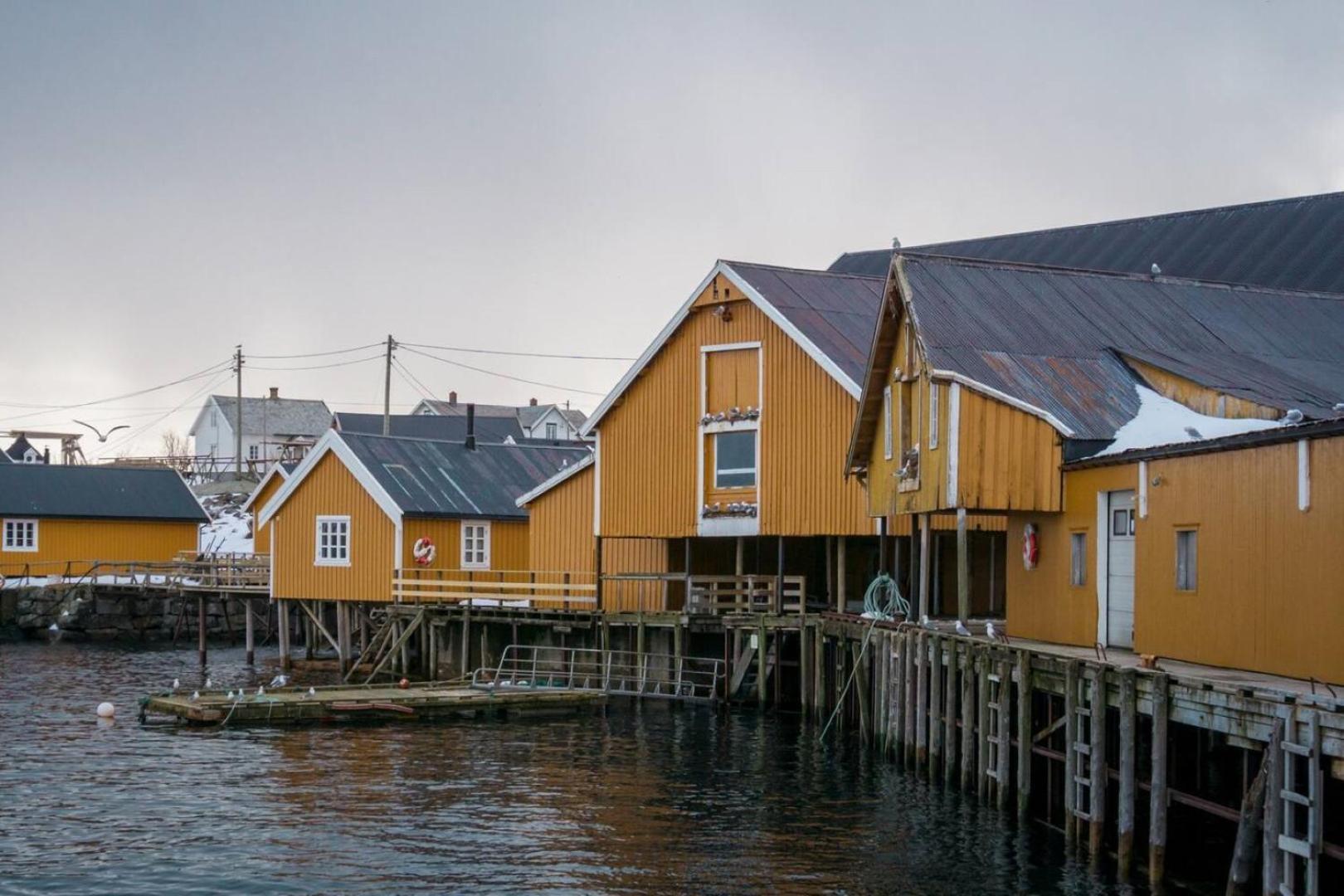 Explorers Cabin Lofoten Edge Sørvågen Esterno foto